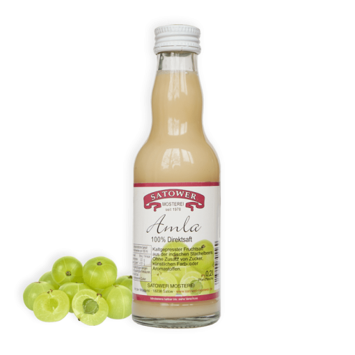 100% Amla Saft - Direktsaft 0,2l